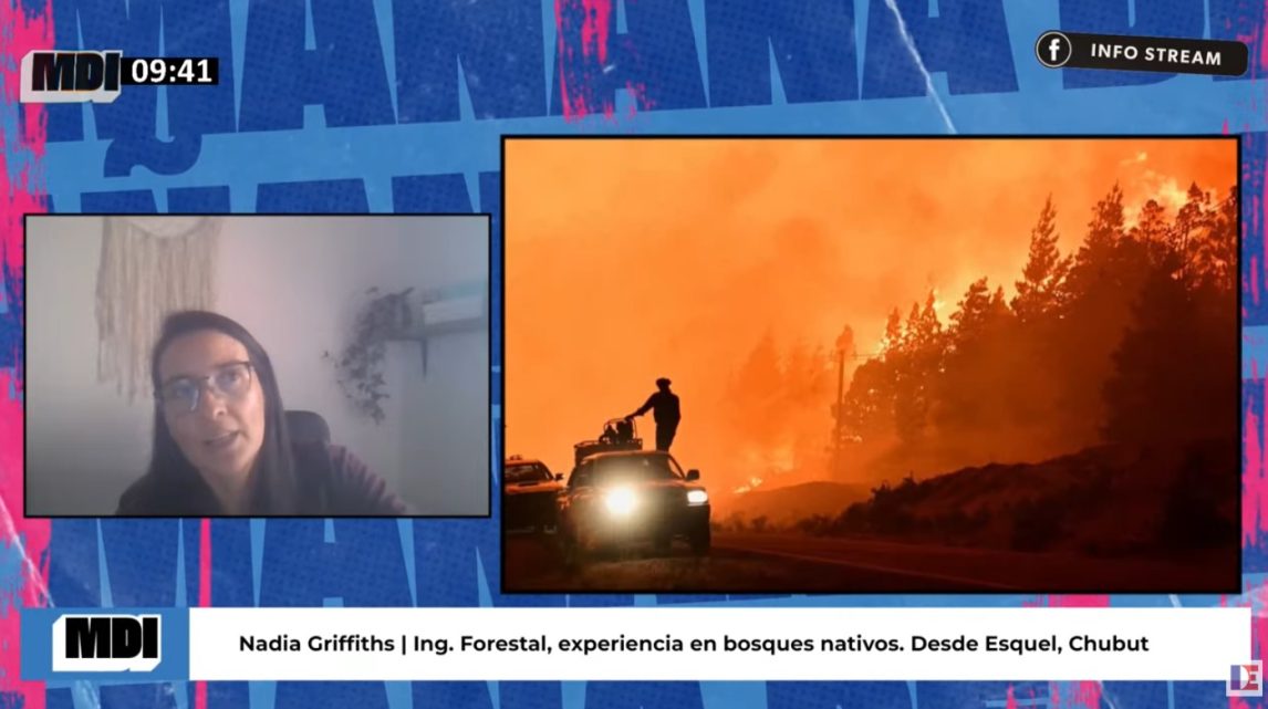 Incendios forestales en la Patagonia: “No es intencional, es negligencia”, afirmó la ingeniera Nadia Griffiths