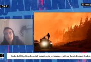 Incendios forestales en la Patagonia: “No es intencional, es negligencia”, afirmó la ingeniera Nadia Griffiths