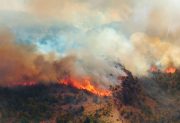 Alerta máxima en Chubut: se reactivaron los incendios forestales por los vientos y las altas temperaturas