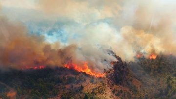Alerta máxima en Chubut: se reactivaron los incendios forestales por los vientos y las altas temperaturas