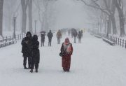 Ola polar en EEUU: ya son 30 los muertos y la temperatura fue de 31 grados bajo cero en algunas ciudades