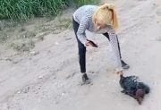 Maltrato animal en Guasayán: El Polaco del Montecito de los Canichones denunció penalmente a las mujeres del video