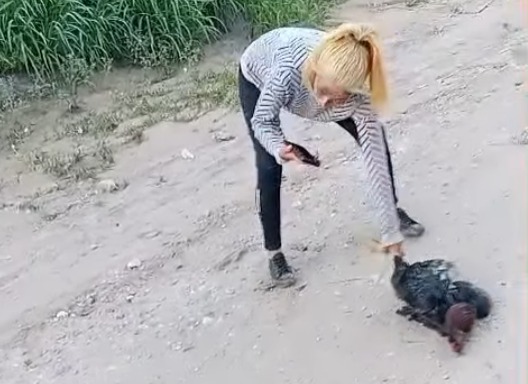 Maltrato animal en Guasayán: El Polaco del Montecito de los Canichones denunció penalmente a las mujeres del video