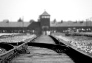 27 de enero: hoy se conmemora el Día Internacional en Memoria de las Víctimas del Holocausto