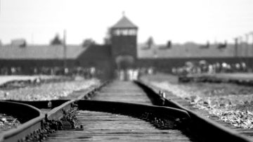 27 de enero: hoy se conmemora el Día Internacional en Memoria de las Víctimas del Holocausto