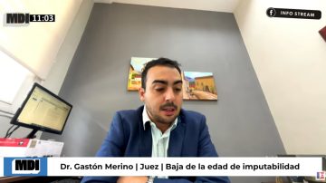 “Actualizar la ley no es bajar la edad”: el juez Merino advirtió sobre el proyecto “regresivo” para reducir la imputabilidad