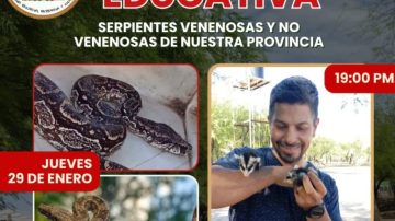 Vacaciones en la Granja Estilo Campo: invitan a una charla educativa sobre serpientes