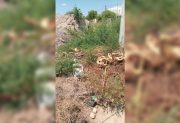 FOTOS. Vecinos de Villa del Carmen reclaman por falta de alumbrado y un basural a cielo abierto