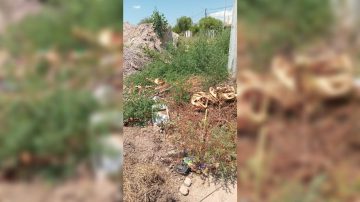 FOTOS. Vecinos de Villa del Carmen reclaman por falta de alumbrado y un basural a cielo abierto