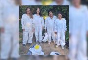 Orgullo: apicultoras santiagueñas ganaron un concurso de sustentabilidad del Grupo Bimbo