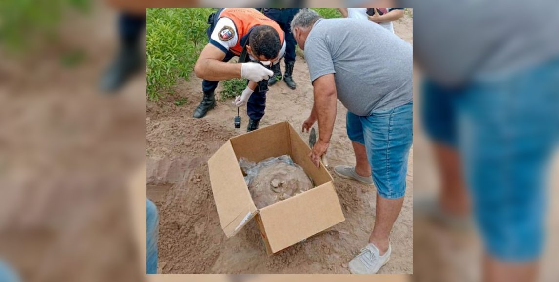 Encontraron restos arqueológicos en una propiedad mientras limpiaban
