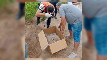 Encontraron restos arqueológicos en una propiedad mientras limpiaban