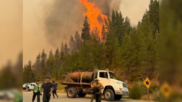 Incendios en la Patagonia: se reanudó la circulación vehicular en la Ruta 40