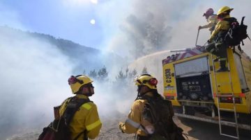 Enero cierra con 45.000 hectáreas arrasadas en Chubut y alerta roja por calor