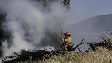 Alerta por incendios forestales en Bariloche y El Bolsón