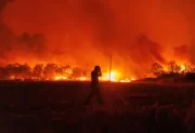 Tragedia y destrucción en Chile: Suman 19 muertos por incendios forestales descontrolados en el sur