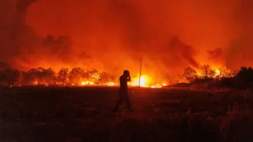 Tragedia y destrucción en Chile: Suman 19 muertos por incendios forestales descontrolados en el sur
