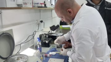 ¿Sabes cuál es tu factor y grupo sanguíneo? Así es la campaña del Hospital Zonal de Loreto para conocer tu sangre