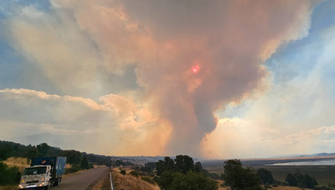 Incendios en Chubut: el Gobierno intervino el Parque Nacional Los Alerces