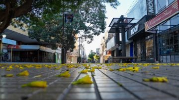 Sábado con altas probabilidades de lluvia y alerta para el Norte de la provincia