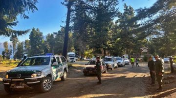 Diputados piden declarar la emergencia en la Patagonia por los incendios forestales