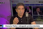 “Jesús María es la transmisión en vivo de la infracción de la ley contra el maltrato animal”, Patto sobre el Festival de Doma