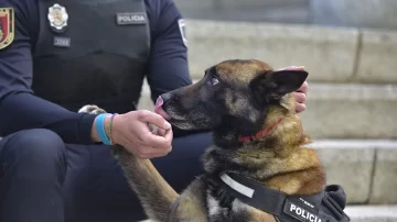 Día Mundial del Perro de Trabajo: reconocimiento a verdaderos héroes