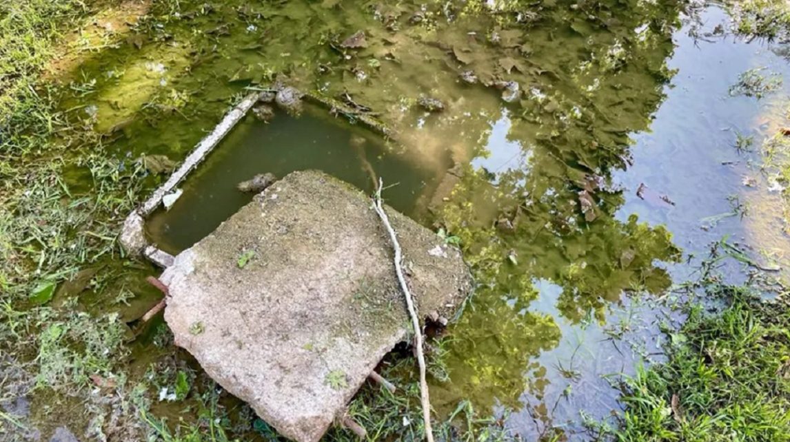 Horror en Pozo Hondo: tres niños cayeron en un pozo séptico mientras jugaban