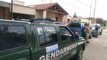 Insólito hecho en Córdoba: vecino tenía en cautiverio a un flamenco austral