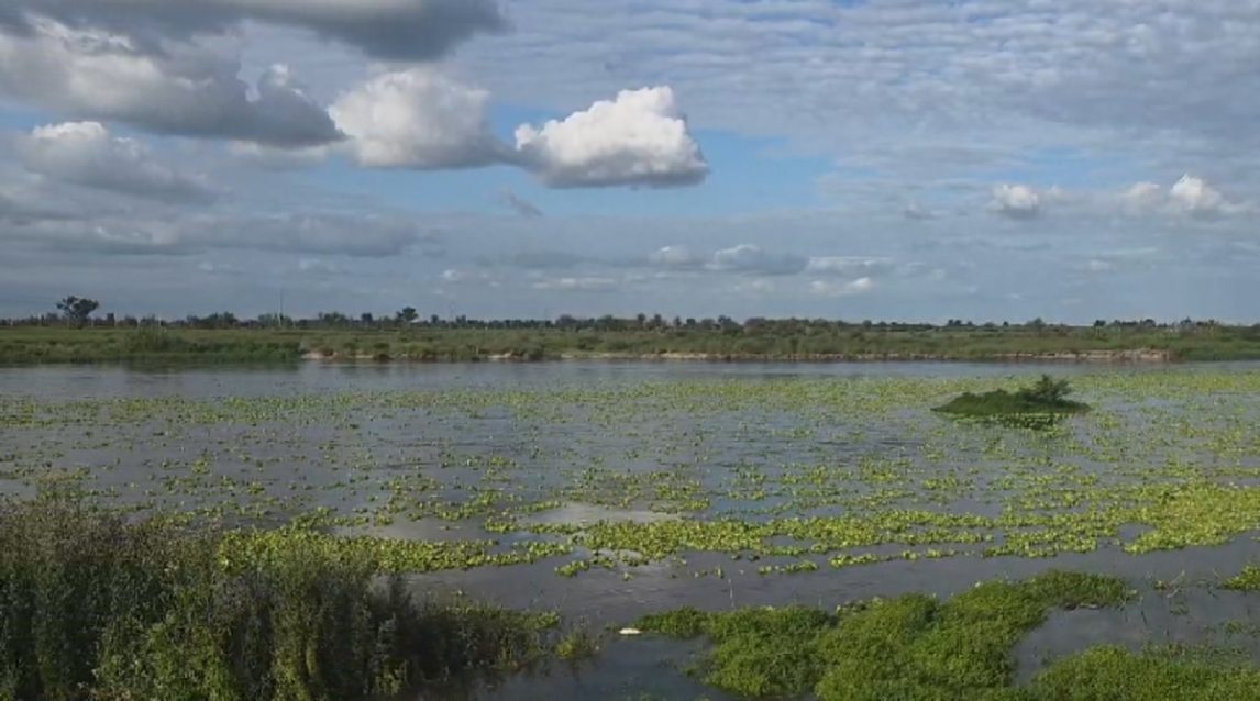 No son algas: explican el origen del “manto verde” en el río Dulce tras la crecida