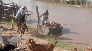 Vecinos del departamento Salavina piden ayuda urgente ante la crecida del río Dulce