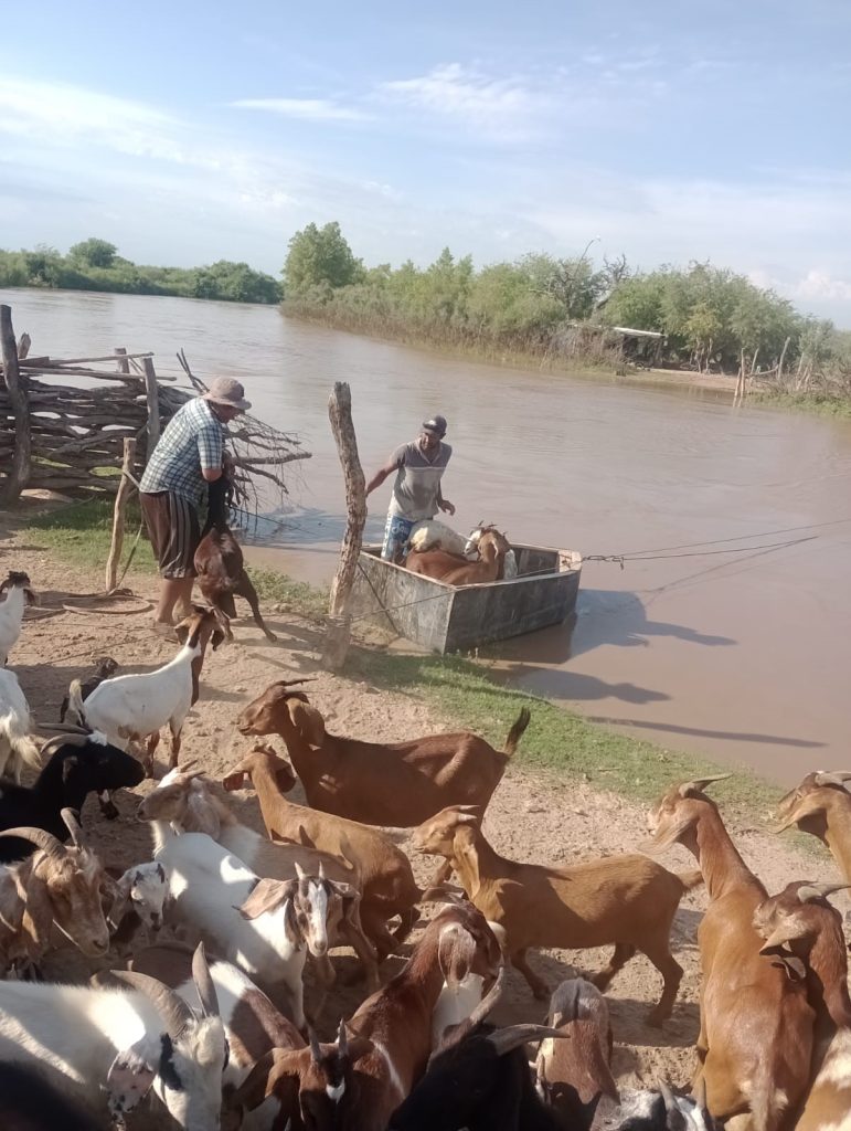 Vecinos del departamento Salavina piden ayuda urgente ante la crecida del río Dulce