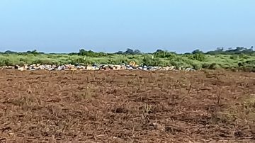 Icaño: denuncian un basural a cielo abierto cerca de viviendas y alertan por riesgos sanitarios