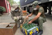 Rescatan más de 500 animales que salieron de Santiago del Estero