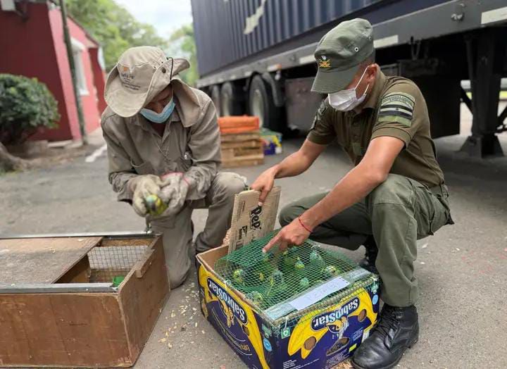 Rescatan más de 500 animales que salieron de Santiago del Estero