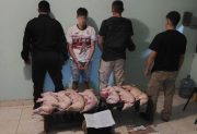 Un joven detenido por abiegato y animales faenados recuperados