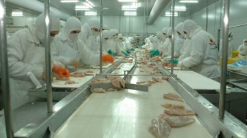 Alerta roja en el sector avícola: advierten que el acuerdo con EE.UU. “detonará” a los frigoríficos locales