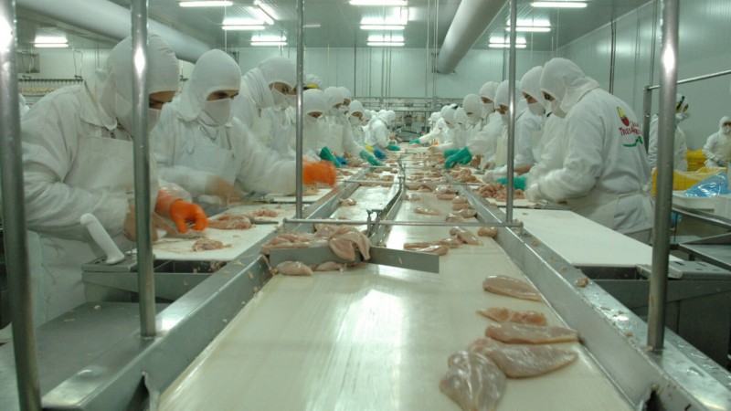 Alerta roja en el sector avícola: advierten que el acuerdo con EE.UU. “detonará” a los frigoríficos locales