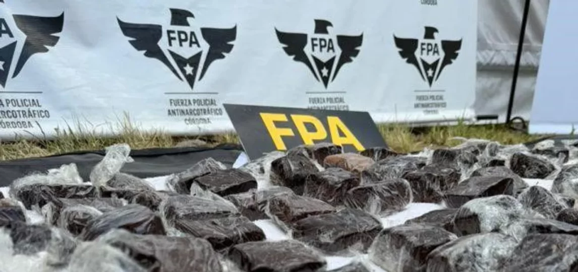 Operativo en el Cosquín Rock: detuvieron a dos hombres con seis kilos de “brownies locos”