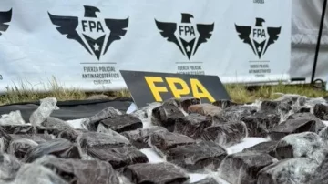 Operativo en el Cosquín Rock: detuvieron a dos hombres con seis kilos de “brownies locos”