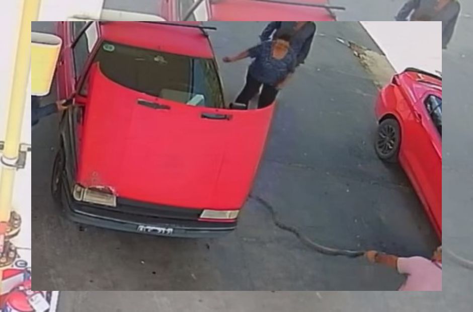 “Acompañante sorpresa”: una lampalagua oculta en el motor de un auto en Las Termas