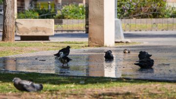 La térmica alcanzó los 48 °C, rige el alerta en gran parte de la provincia, pero la temperatura no bajará