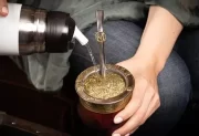 Crecimiento sin precedentes: la yerba mate argentina marcó un récord mundial