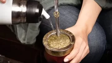 Crecimiento sin precedentes: la yerba mate argentina marcó un récord mundial