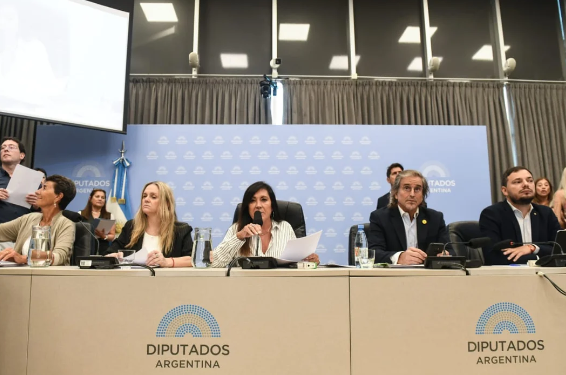 Régimen Penal Juvenil: el oficialismo consiguió firmar dictamen de mayoría en Diputados