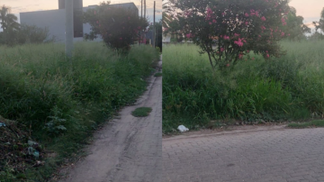 Vecinos del barrio Cabildo reclaman por malezas y alimañas: “Está abandonado”