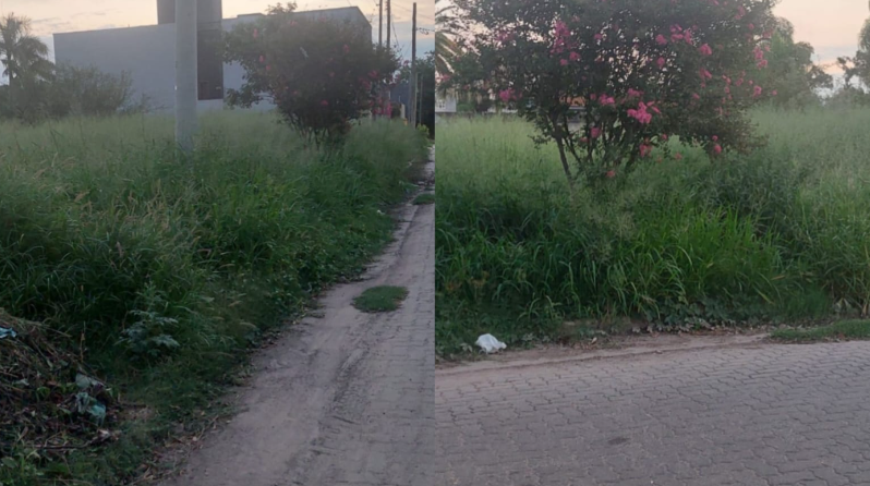 Vecinos del barrio Cabildo reclaman por malezas y alimañas: “Está abandonado”