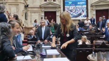 Carignano desenchufó los cables de los taquígrafos de la sesión y fue repudiada por Lemoine: “¡Pedazo de loca!”