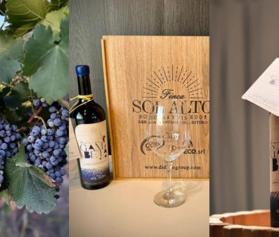 Se viene la Vendimia Santiagueña: vino, poesía y raíces en la Finca Sol Alto