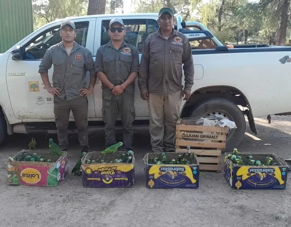 Desbaratan una red dedicada al tráfico ilegal de fauna silvestre